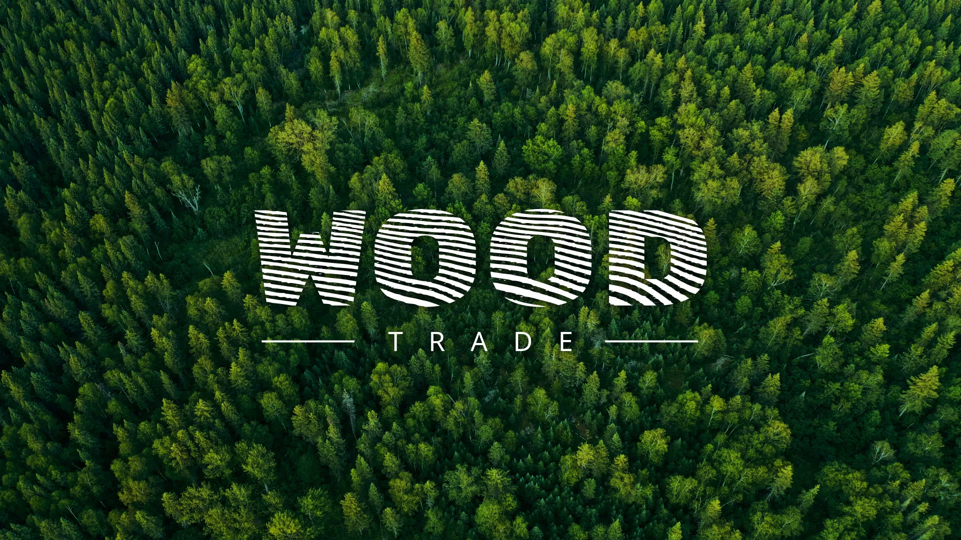 Разработка интернет-магазина компании «Wood Trade» в Малмыже